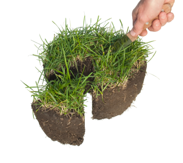 Раздел участка