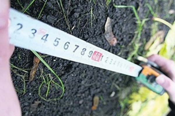 Вынос в натуру границ участка